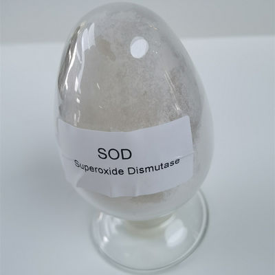 99% Dismutase υπεροξιδίων CAS 9054-89-1 στα καλλυντικά